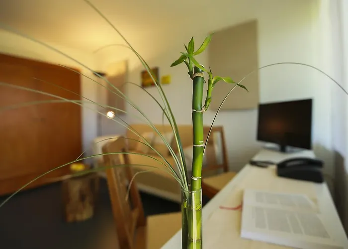 14/2 3* غوبينغِن